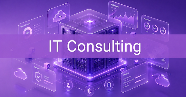 IT Consulting