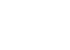 Solanum Icon